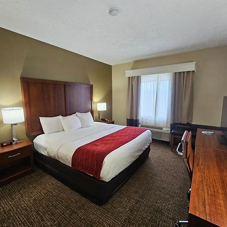 Comfort Inn Jackson I-40 Exterior photo