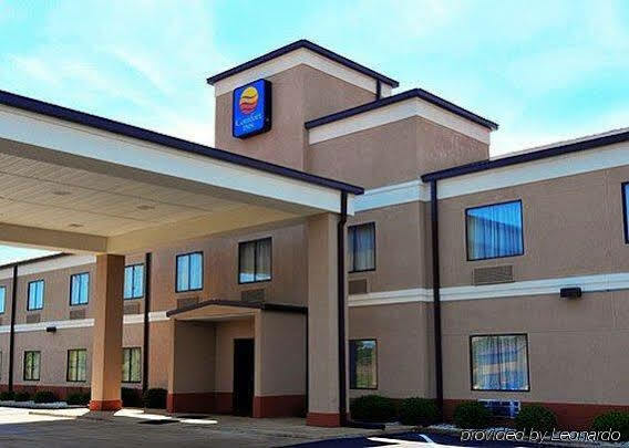 Comfort Inn Jackson I-40 Exterior photo